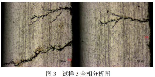 截圖20241229223328.png